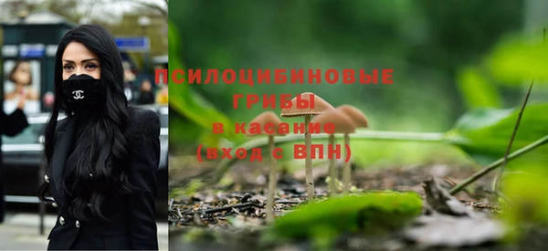 СК Балахна