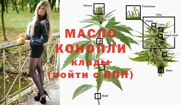 сатива Белоозёрский